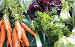 Thức ăn phòng ngừa bệnh ở người cao tuổi